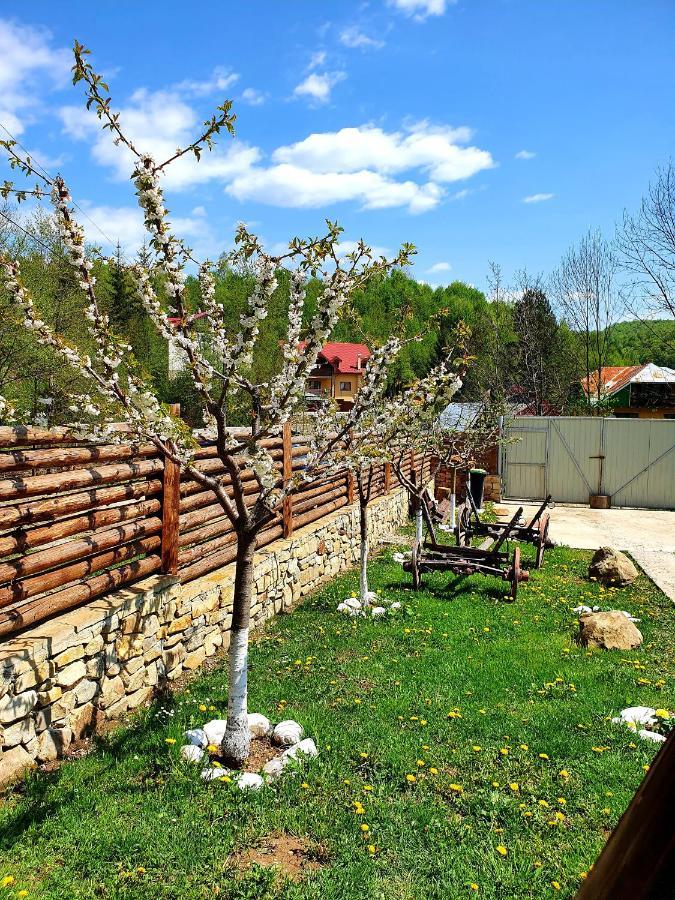 Rooms Poienita Slănic-Moldova Exterior foto